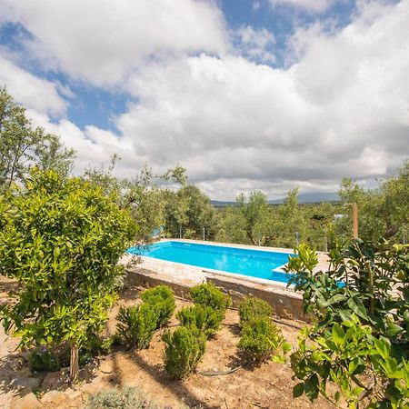 Hakuna Matata Holidays Wooden Lodge With Airco & Pool In Greek Olive Grove Μεθώνη Εξωτερικό φωτογραφία