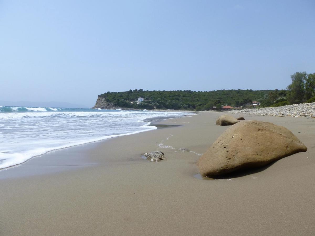Hakuna Matata Holidays Wooden Lodge With Airco & Pool In Greek Olive Grove Μεθώνη Εξωτερικό φωτογραφία