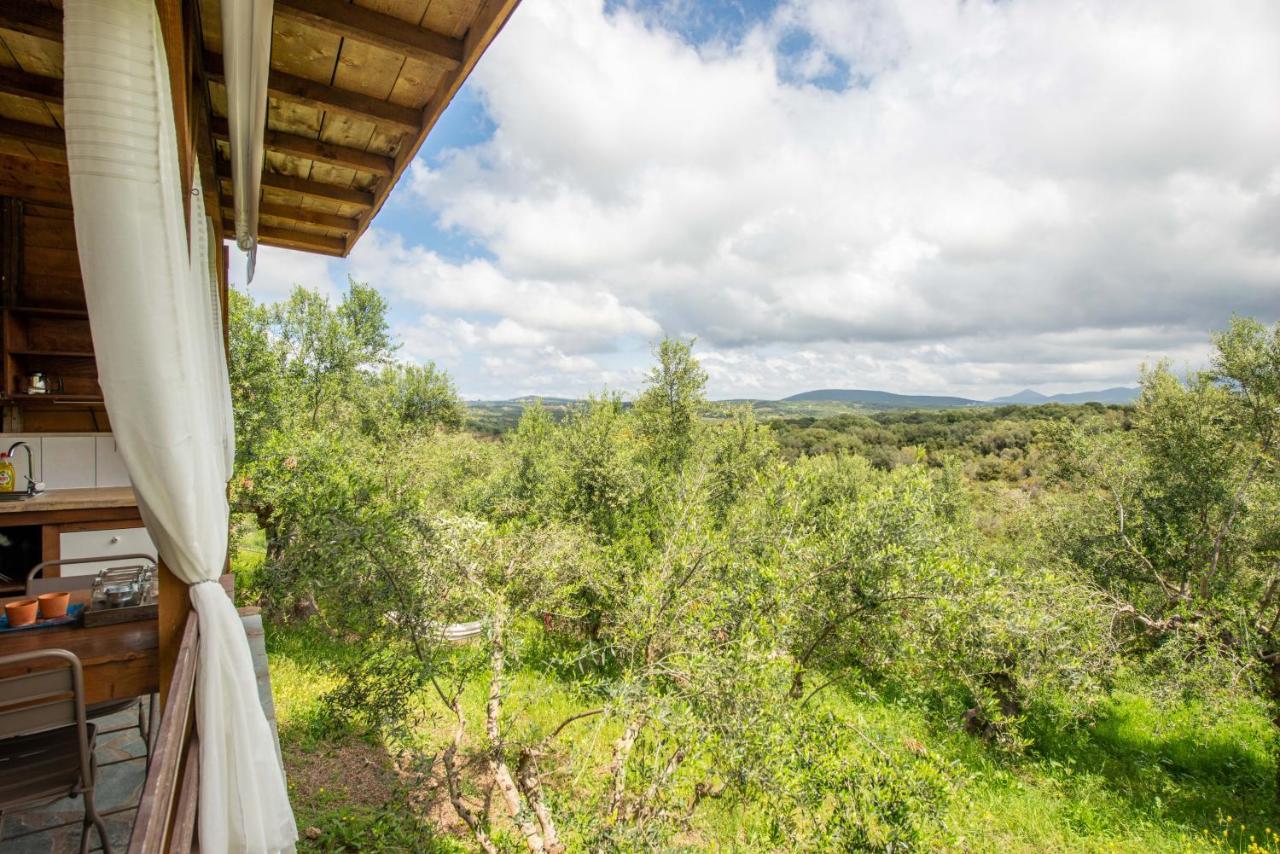 Hakuna Matata Holidays Wooden Lodge With Airco & Pool In Greek Olive Grove Μεθώνη Εξωτερικό φωτογραφία