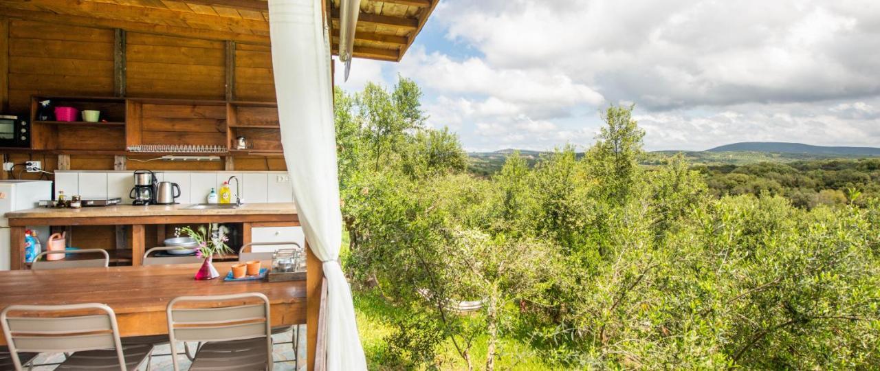 Hakuna Matata Holidays Wooden Lodge With Airco & Pool In Greek Olive Grove Μεθώνη Εξωτερικό φωτογραφία