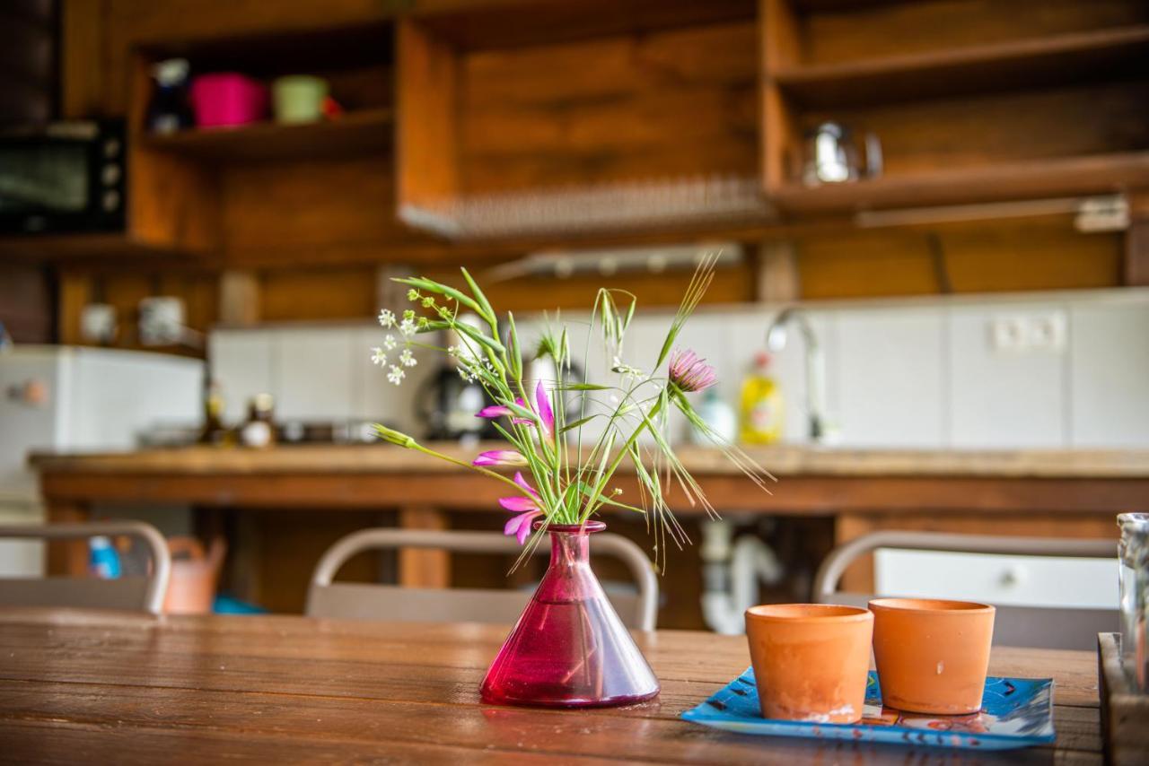 Hakuna Matata Holidays Wooden Lodge With Airco & Pool In Greek Olive Grove Μεθώνη Εξωτερικό φωτογραφία