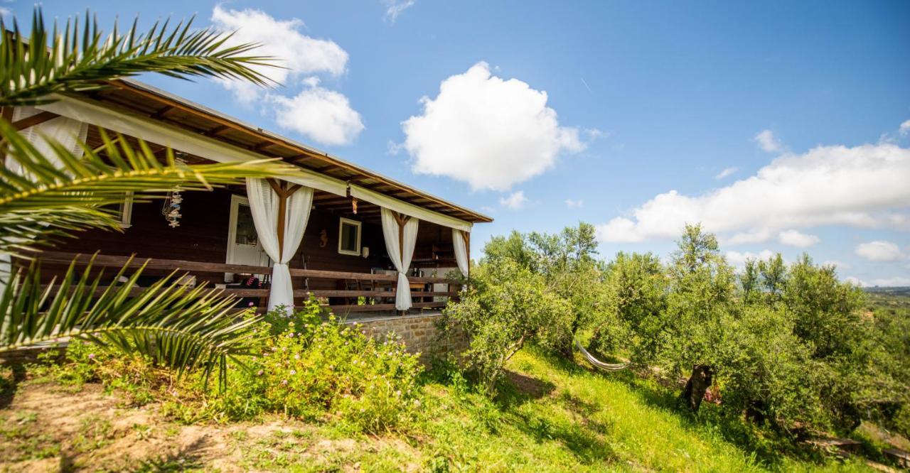 Hakuna Matata Holidays Wooden Lodge With Airco & Pool In Greek Olive Grove Μεθώνη Εξωτερικό φωτογραφία