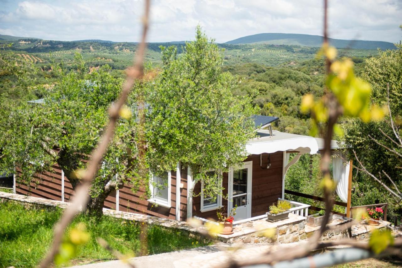Hakuna Matata Holidays Wooden Lodge With Airco & Pool In Greek Olive Grove Μεθώνη Εξωτερικό φωτογραφία