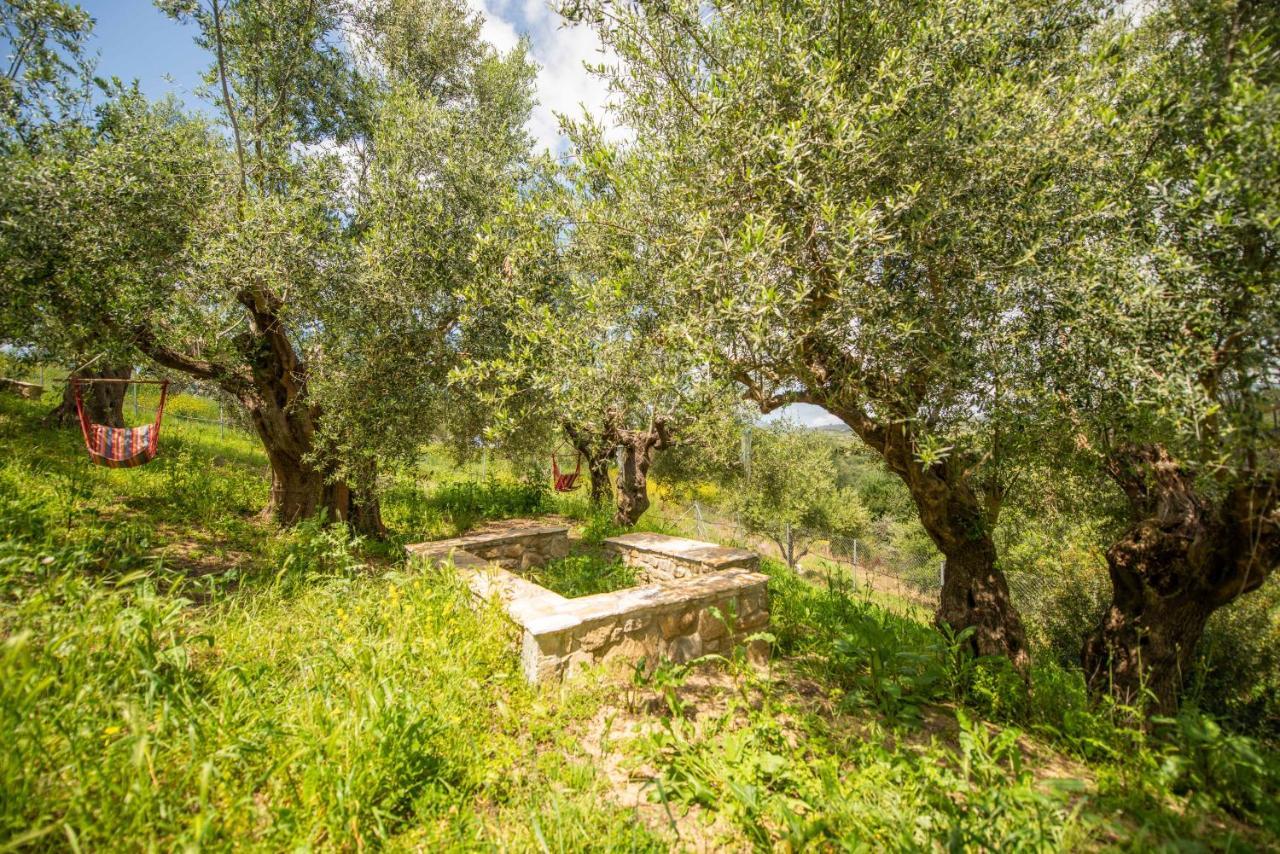 Hakuna Matata Holidays Wooden Lodge With Airco & Pool In Greek Olive Grove Μεθώνη Εξωτερικό φωτογραφία