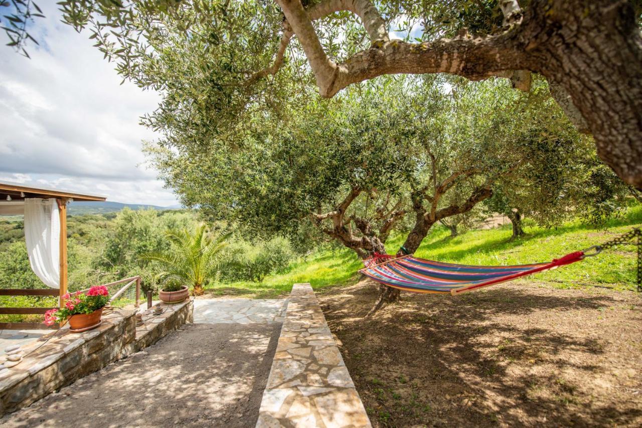 Hakuna Matata Holidays Wooden Lodge With Airco & Pool In Greek Olive Grove Μεθώνη Εξωτερικό φωτογραφία