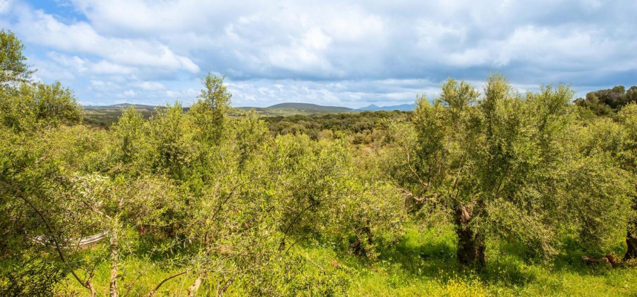 Hakuna Matata Holidays Wooden Lodge With Airco & Pool In Greek Olive Grove Μεθώνη Εξωτερικό φωτογραφία