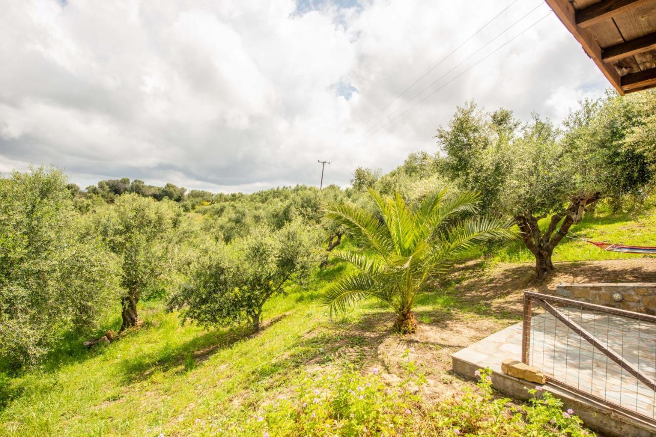 Hakuna Matata Holidays Wooden Lodge With Airco & Pool In Greek Olive Grove Μεθώνη Εξωτερικό φωτογραφία