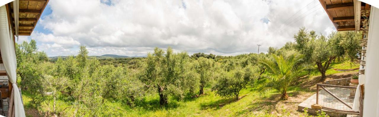 Hakuna Matata Holidays Wooden Lodge With Airco & Pool In Greek Olive Grove Μεθώνη Εξωτερικό φωτογραφία