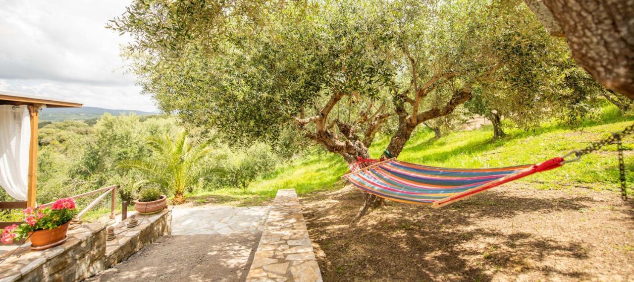 Hakuna Matata Holidays Wooden Lodge With Airco & Pool In Greek Olive Grove Μεθώνη Εξωτερικό φωτογραφία