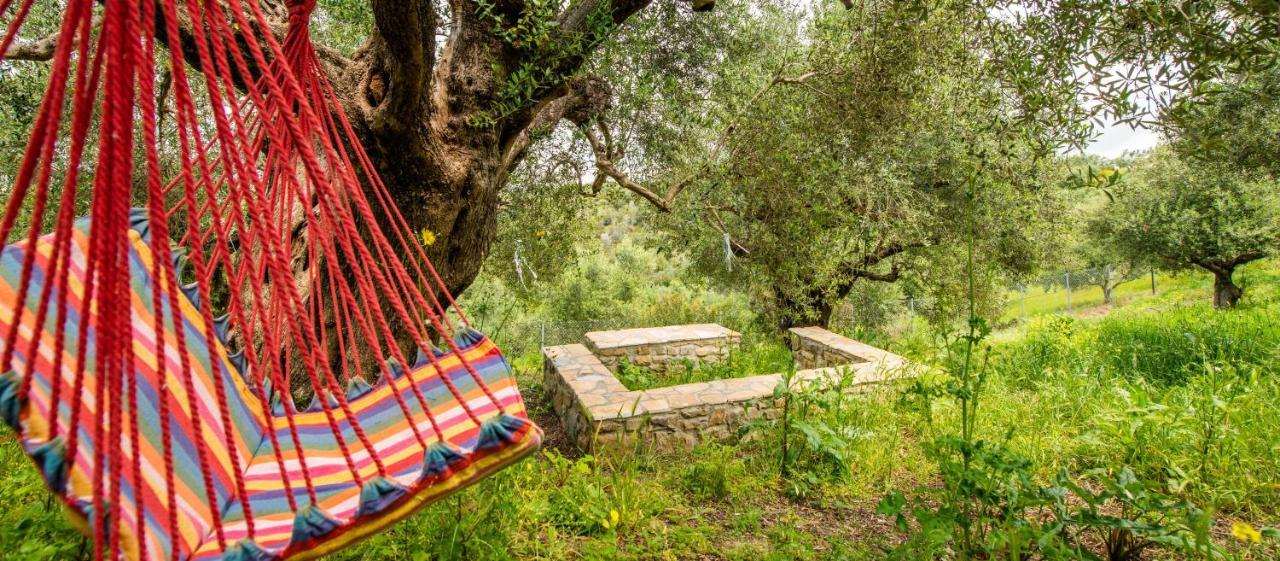 Hakuna Matata Holidays Wooden Lodge With Airco & Pool In Greek Olive Grove Μεθώνη Εξωτερικό φωτογραφία
