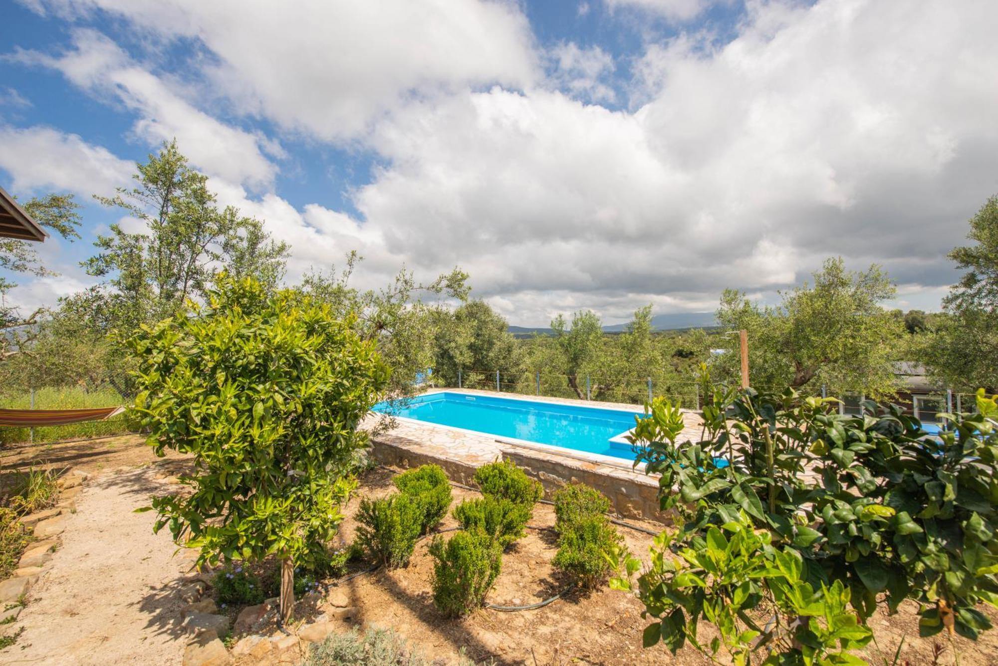Hakuna Matata Holidays Wooden Lodge With Airco & Pool In Greek Olive Grove Μεθώνη Εξωτερικό φωτογραφία