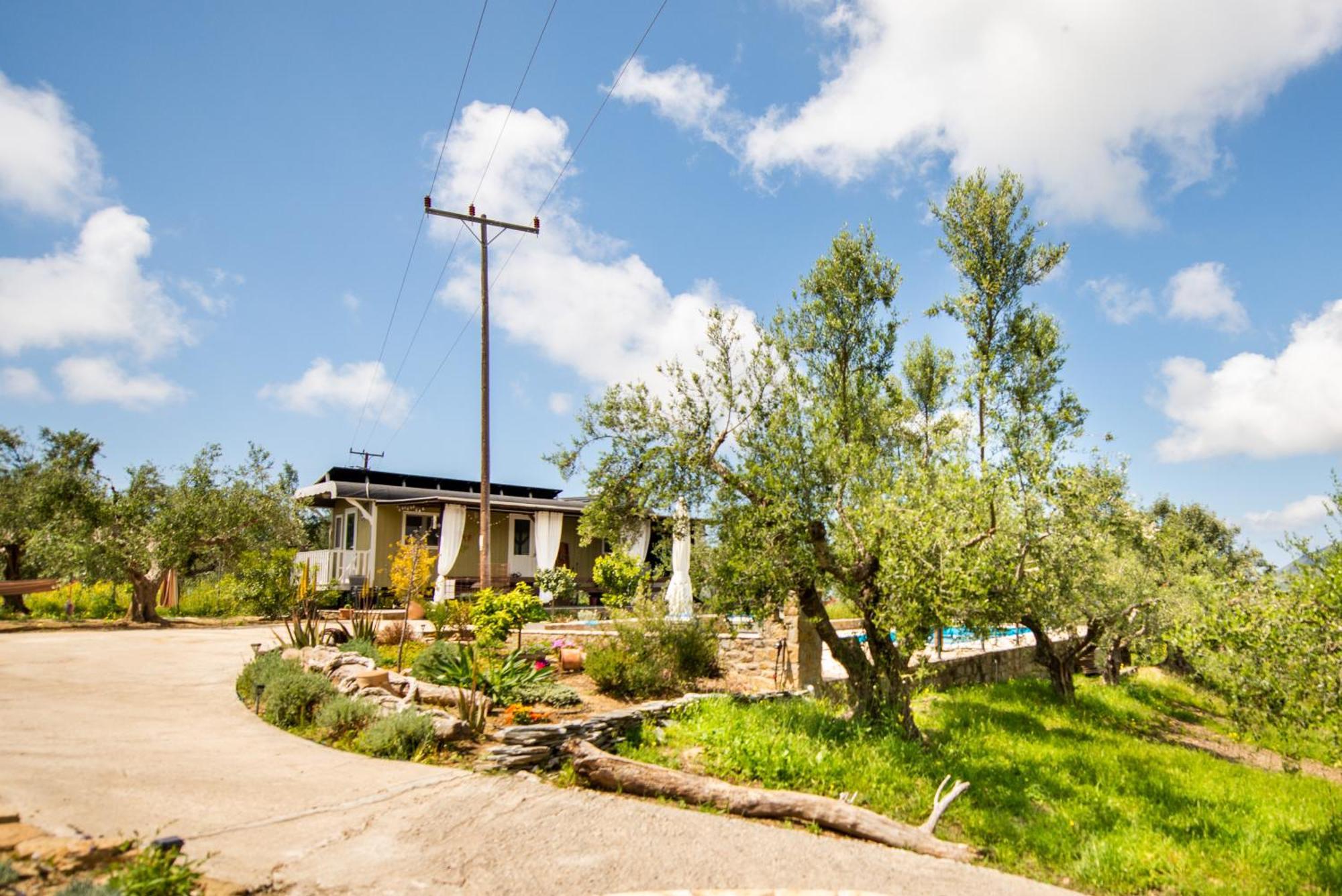 Hakuna Matata Holidays Wooden Lodge With Airco & Pool In Greek Olive Grove Μεθώνη Εξωτερικό φωτογραφία
